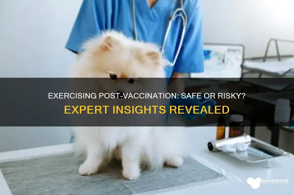 is it bad to exercise after vaccine