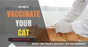Is Vaccinating Your Cat Harmful? Separating Facts from Myths