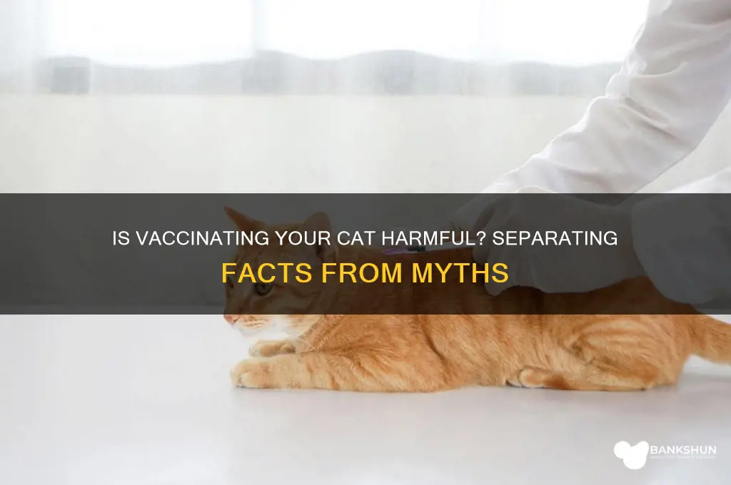 is it bad to vaccinate your cat