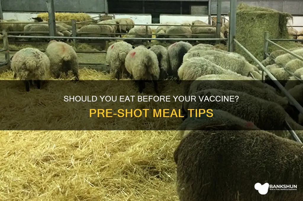 is it better to eat before vaccine