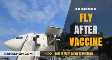 Flying Post-Vaccination: Debunking Myths and Addressing Safety Concerns