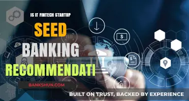 Fintech Startups: Seed Banking Strategies for Early-Stage Growth and Funding