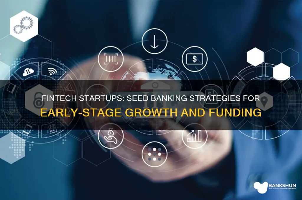 is it fintech startup seed banking recommendations
