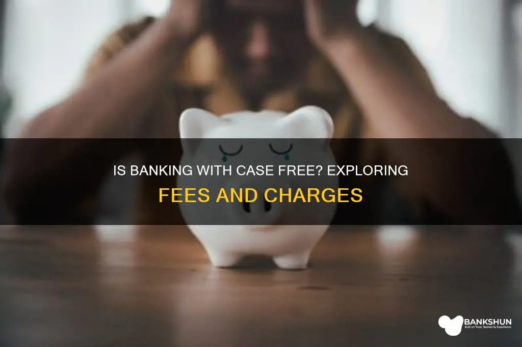 is it free to bank with case