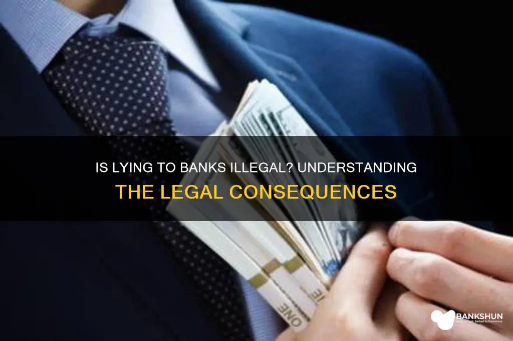 is it illegal to lie to banks