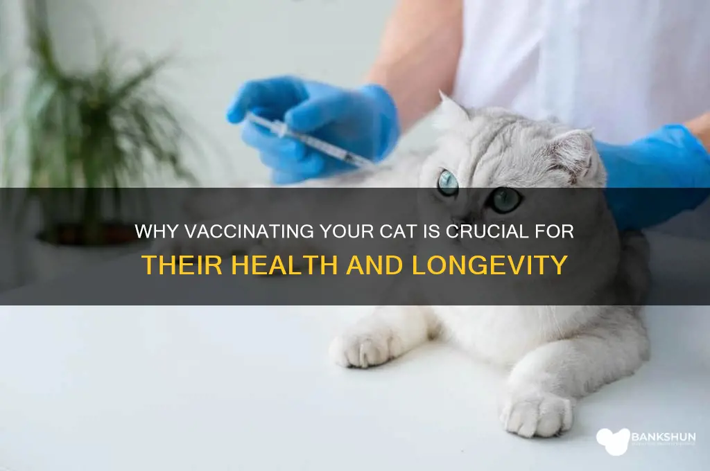 is it important to vaccinate your cat