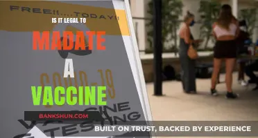 Is Mandating Vaccines Legal? Exploring Rights, Laws, and Public Health
