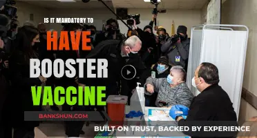 Is a Booster Vaccine Mandatory? Understanding Current Health Guidelines
