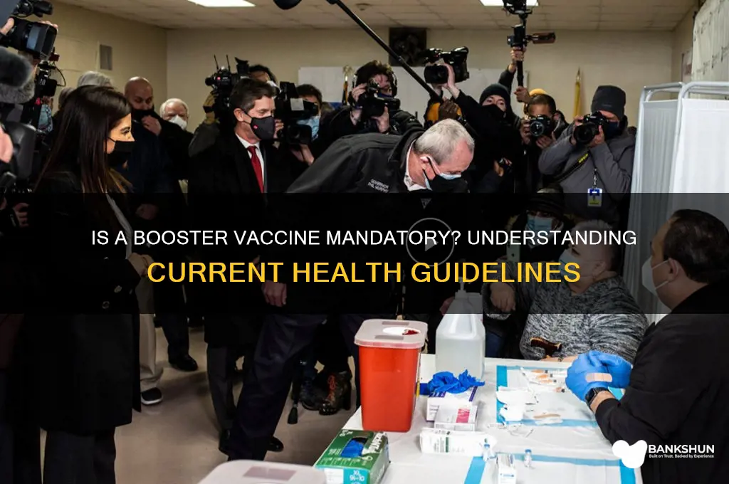is it mandatory to have booster vaccine