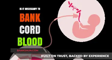 Banking Cord Blood: Essential or Optional for Your Family's Future?