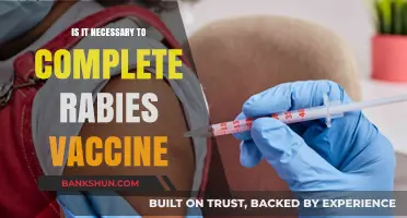 Is Completing the Rabies Vaccine Series Absolutely Necessary for Protection?