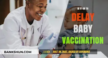 Delaying Baby Vaccinations: Risks, Myths, and Expert Recommendations