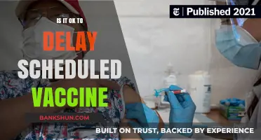 Delaying Vaccines: Risks, Considerations, and Expert Advice for Parents