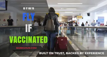 Vaccinated and Ready to Fly: Is Air Travel Safe Now?