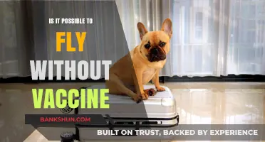 Can You Board a Plane Without a COVID-19 Vaccine?