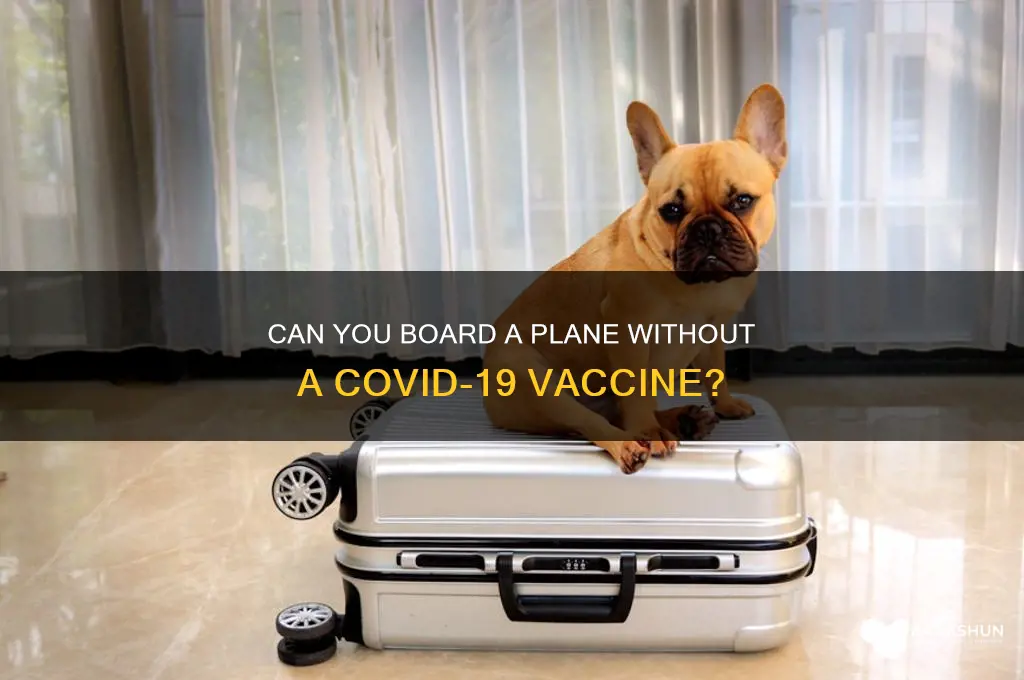 is it possible to fly without vaccine