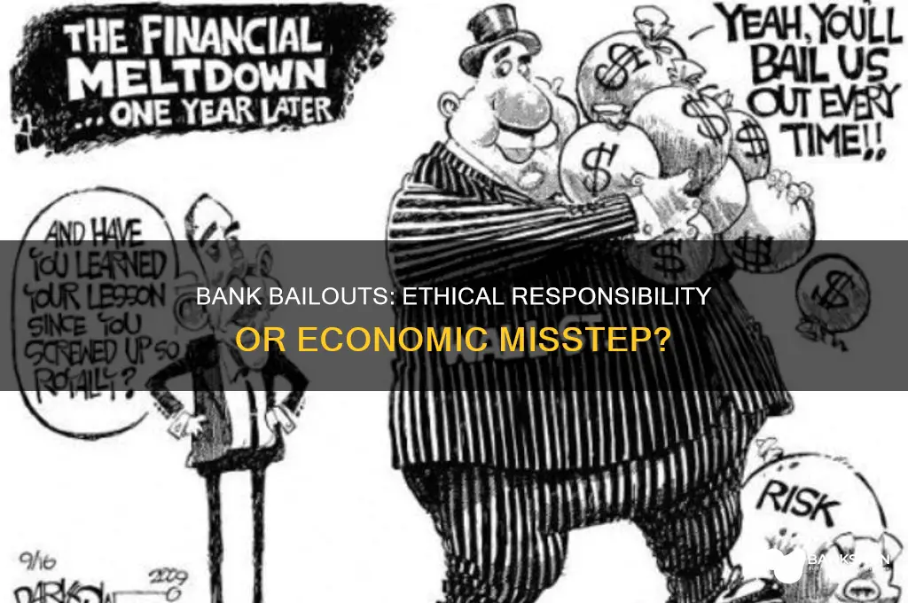is it right to bailout the banks