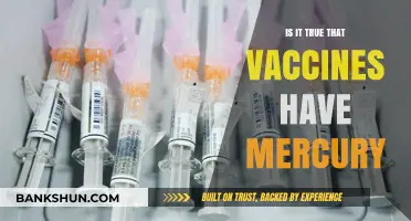 Vaccines and Mercury: Separating Fact from Fiction in Immunizations