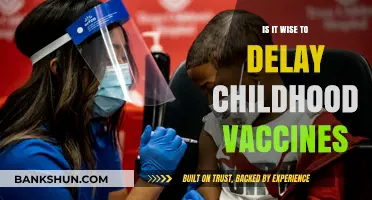 Delaying Childhood Vaccines: Risks, Myths, and Expert Advice
