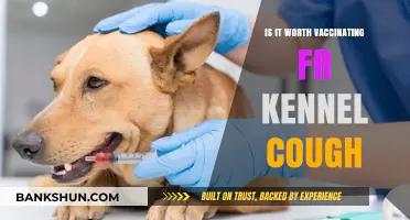Is Kennel Cough Vaccination Necessary for Your Dog's Health?