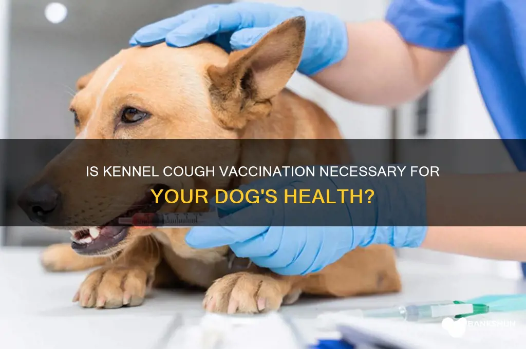 is it worth vaccinating fr kennel cough