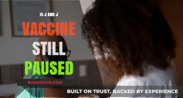 J&J Vaccine Pause: Current Status and What You Need to Know