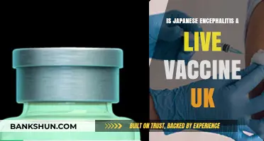Is Japanese Encephalitis Vaccine Live in the UK?