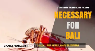 Is Japanese Encephalitis Vaccine Essential for Bali Travelers?