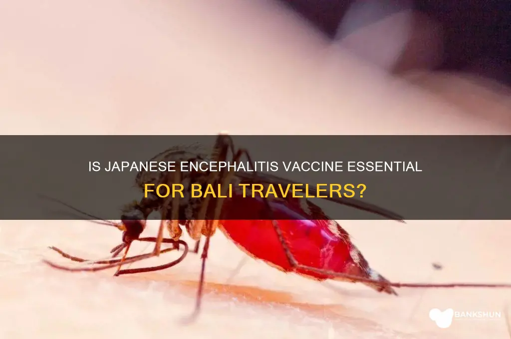 is japanese encephalitis vaccine necessary for bali