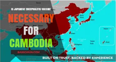 Is Japanese Encephalitis Vaccine Essential for Cambodia Travelers?