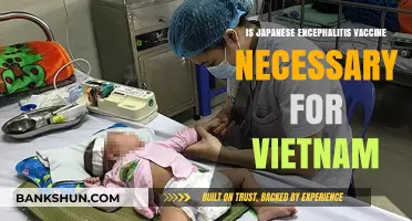 Is Japanese Encephalitis Vaccine Essential for Vietnam Travelers?