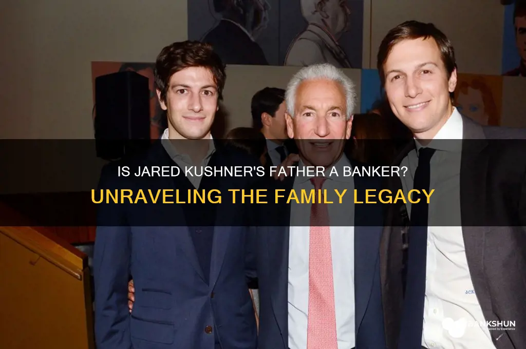 is jared kushner