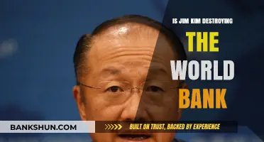 Is Jim Kim Undermining the World Bank's Global Impact?