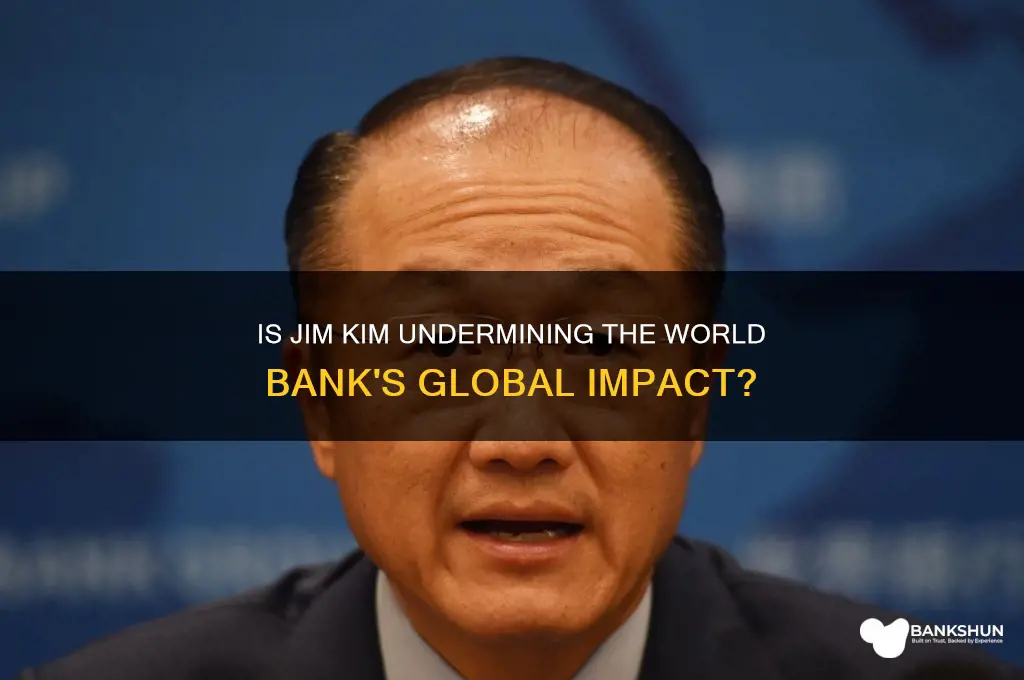 is jim kim destroying the world bank