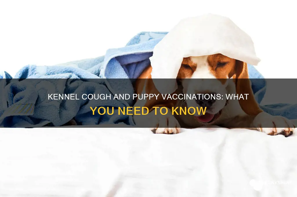 is kennel cough included in puppy vaccinations