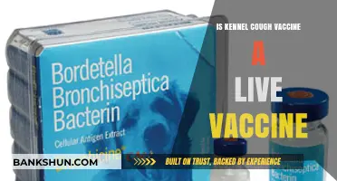 Is Kennel Cough Vaccine Live? Understanding Bordetella Vaccination