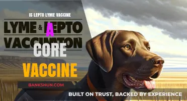 Is Lepto Lyme Vaccine a Core Vaccine? Expert Insights