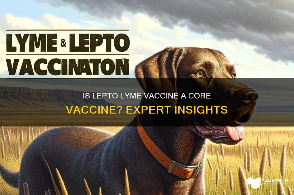 is lepto lyme vaccine a core vaccine