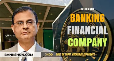 Is LIC a Non-Banking Financial Company? Understanding Its Classification