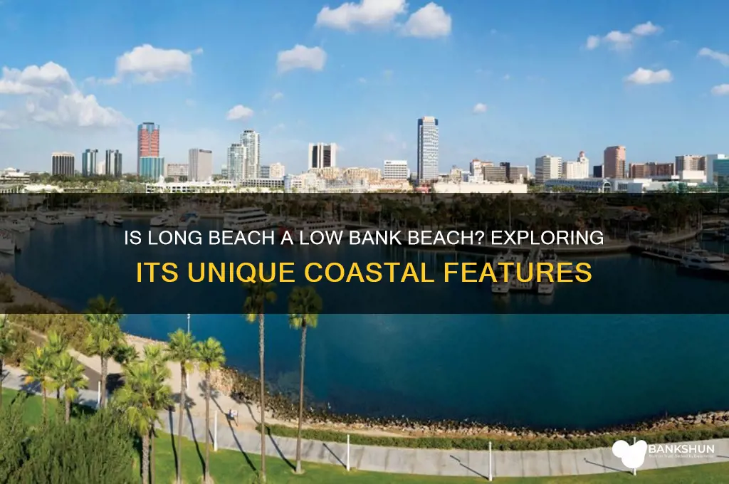 is long beach a low bank beach
