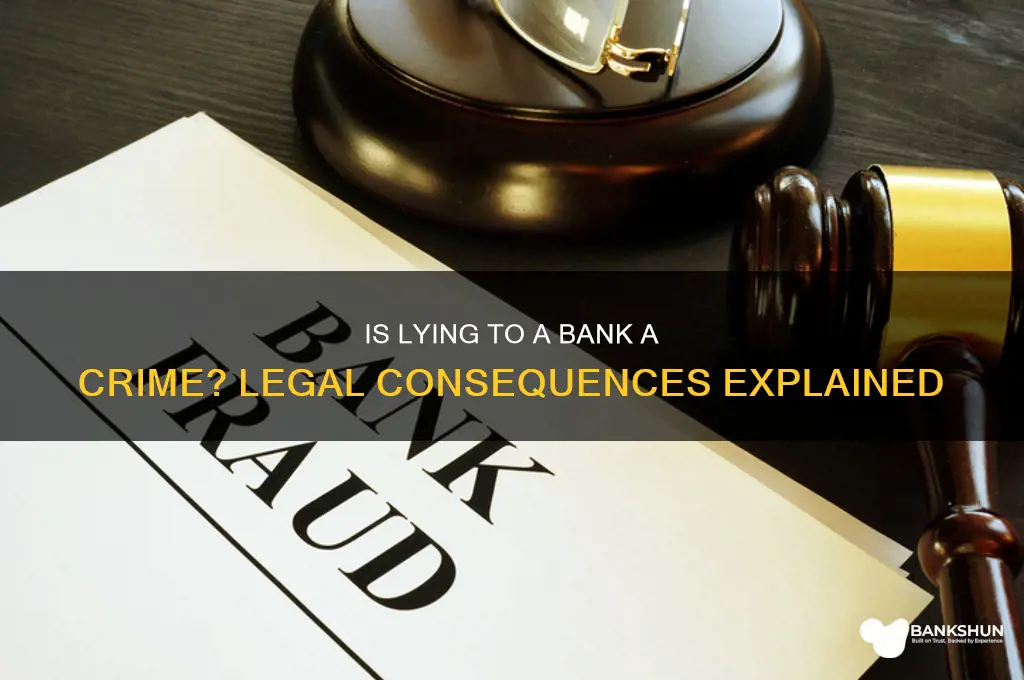 is lying to a bank a crime