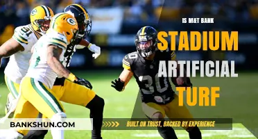 M&T Bank Stadium Turf: Real Grass or Artificial Surface?