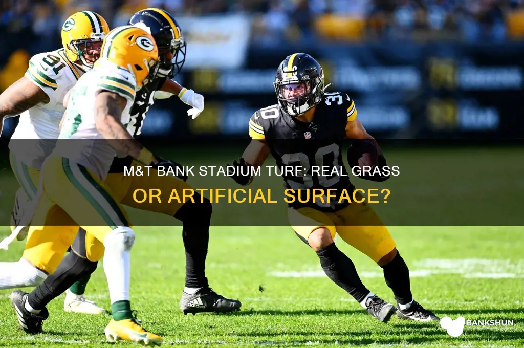 is m&t bank stadium artificial turf