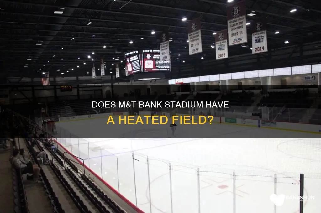 is m&t bank stadium field heated