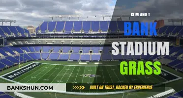 Is M&T Bank Stadium's Field Natural Grass or Artificial Turf?