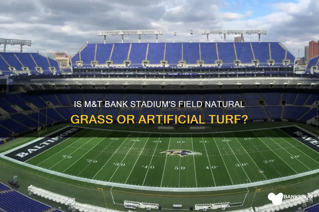 is m and t bank stadium grass