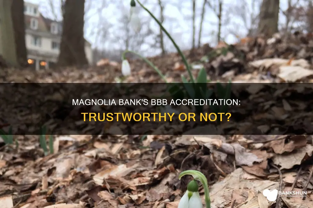 is magnolia bank with better business bureau