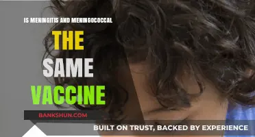 Meningitis vs. Meningococcal: Understanding the Difference in Vaccines