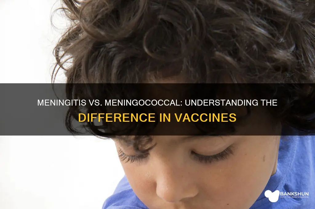is meningitis and meningococcal the same vaccine