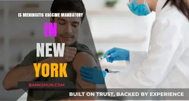 Is Meningitis Vaccine Mandatory in New York? What You Need to Know